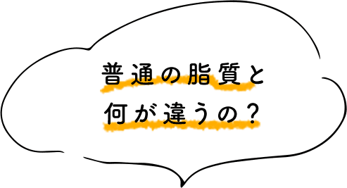 普通の脂質と何が違うの？