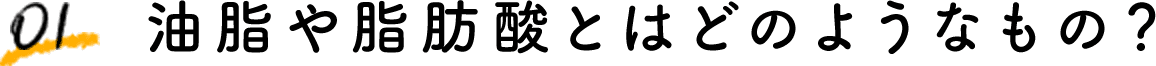 01 油脂や脂肪酸とはどのようなもの？
