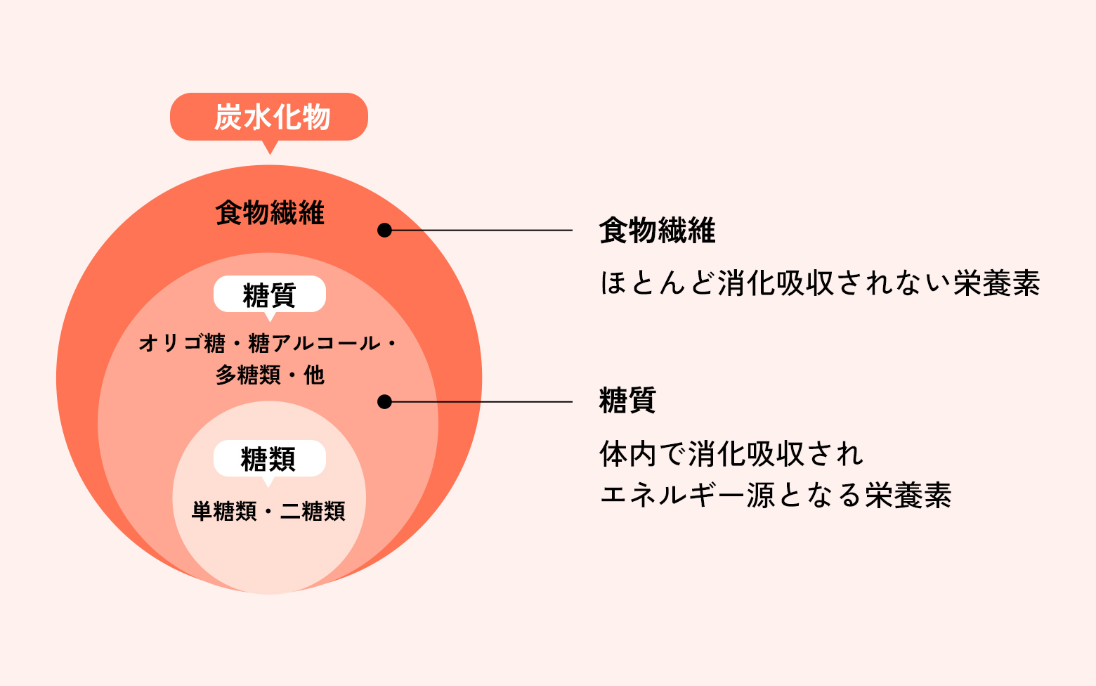 炭水化物（食物繊維・糖質）